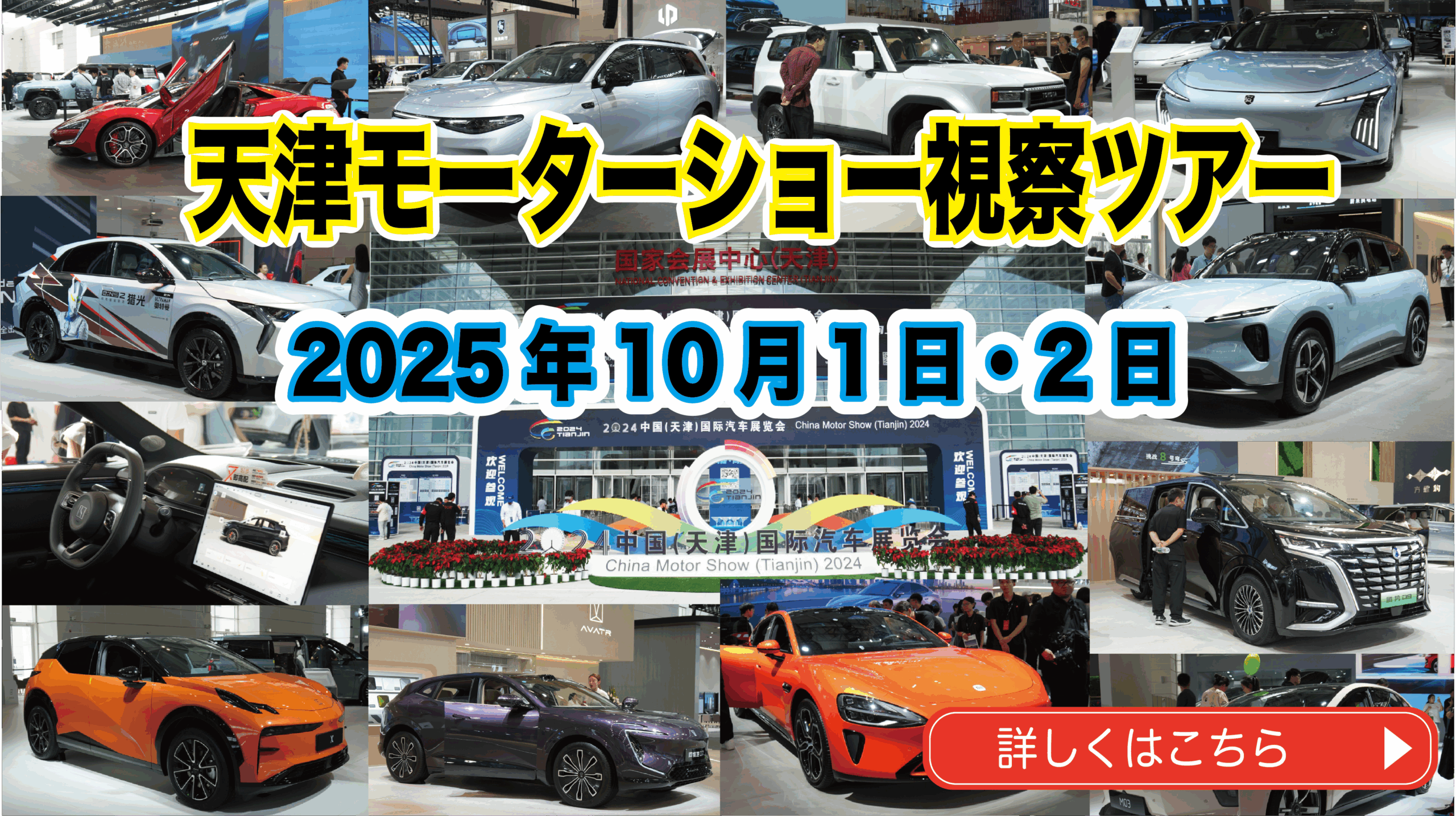 天津MS2025表紙